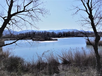 Etang des jardins, Site de Pêche à Sablet
