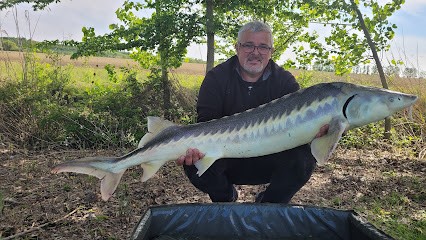 ETANG DES COLVERTS, Site de Pêche à Ciré-d'Aunis