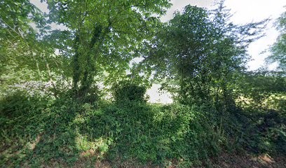 Breiz'Filets, Site de Pêche à Bangor