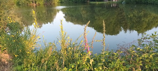 Yves Sallard, Site de Pêche à La Ferté Macé