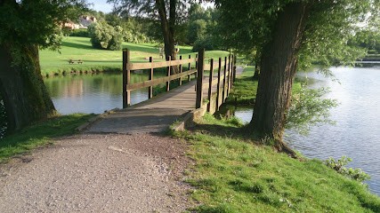 Étang de la Biette, Site de Pêche à Divion