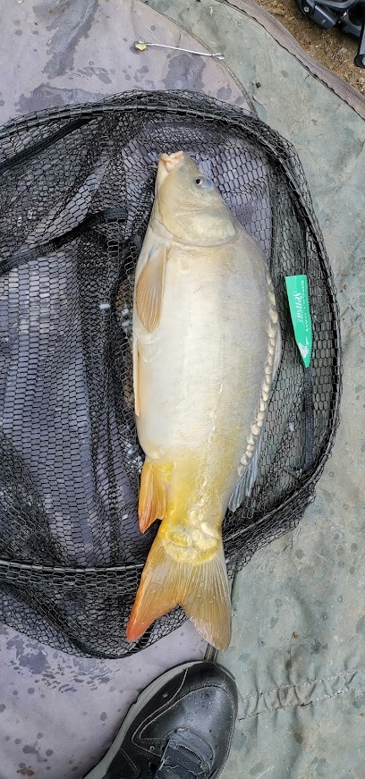 Étang de pêche & Carpodrome Blue Grass Ranch, Site de Pêche à Bischoffsheim