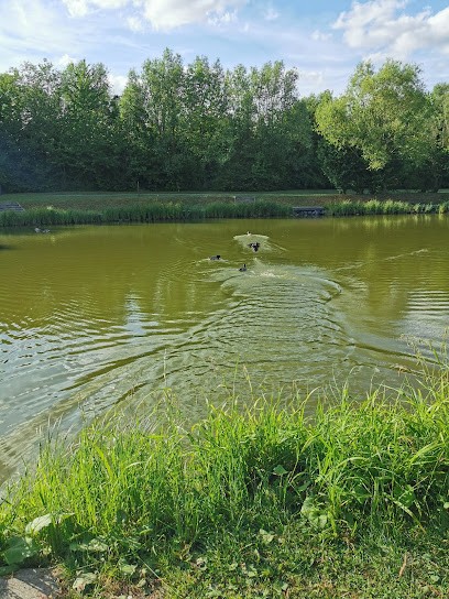 Étang de Marquette-lez-Lille, Site de Pêche à Marquette-lez-Lille