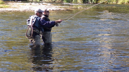 A La Pêche À La Mouche Mickaël Miclet Moniteur Guide De Pêche, Site De Pêche à Mur-sur-Allier