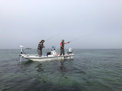 Brittany Fly Fishing Eurl, Magasin De Pêche à Commana