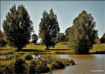 Étang de Cabariot, Site de Pêche à Cabariot