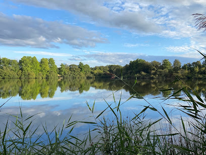 Domaine Des Freaux Site De Pêche à Clessé