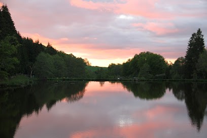 Etang de la Tour, Site de Pêche à Dontreix