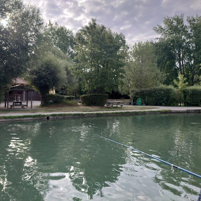 Étangs De Courtebourne, Site de Pêche à Licques