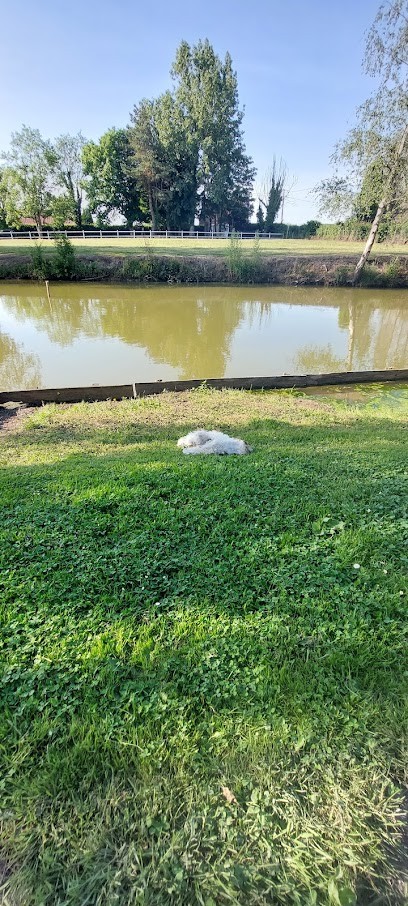 Etang De La Chaumiére, Site de Pêche à Buysscheure