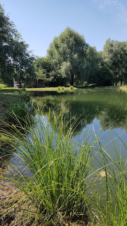 Aux étangs de le boisle, Site de Pêche au Boisle