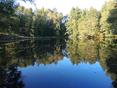 Etang De Margout - Étang De Pêche Privé Site De Pêche à Bosmoreau-les-Mines