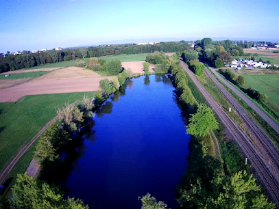 Etang De La Chapelle, Club De Pêche à Mutzig