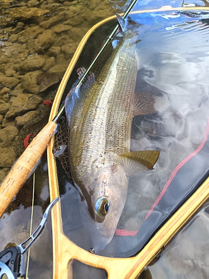 Fcs Fly Fishing Magasin De Pêche à Ledinghem