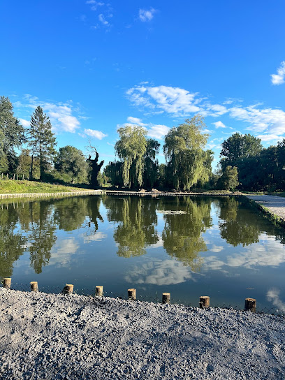 Étang Des Sources À Artres Site De Pêche à Artres