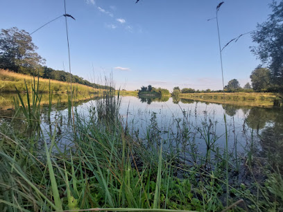 My River Lake, Site De Pêche à Chavanges