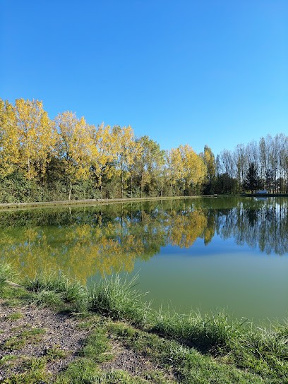 L'Etang des Bruyères, Site de Pêche à Mézidon Vallée d'Auge