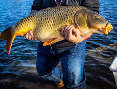 Domaine De La Ballastière ( Pêche Carpe En No-Kill De Nuit ), Site De Pêche à Charny-sur-Meuse