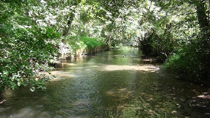 Hameçon Versonnais, Club de Pêche à Laize-Clinchamps