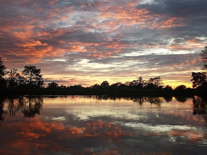 St George's Carp Fishery, Site de Pêche à Saint-Georges-les-Landes