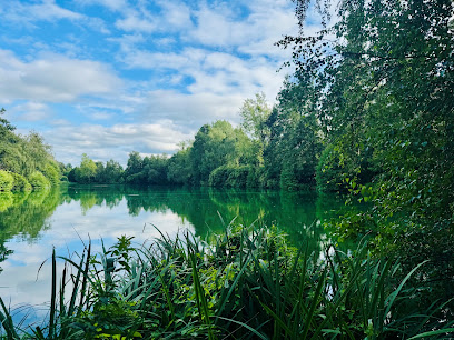 Genets Carp Lake Site De Pêche à Larchamp