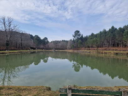 Etang De Condéon Site De Pêche à Condéon