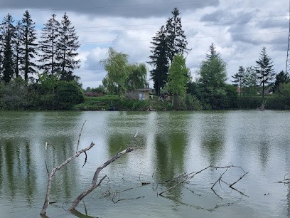 L'étang Du Saule, Site de Pêche à Rumilly-lès-Vaudes