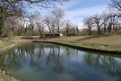 Etang de Pêche de NAMBSHEIM, Club de Pêche à Geiswasser