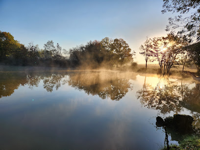 Etang A Truite Au Petit Bouchon, Site De Pêche aux Achards