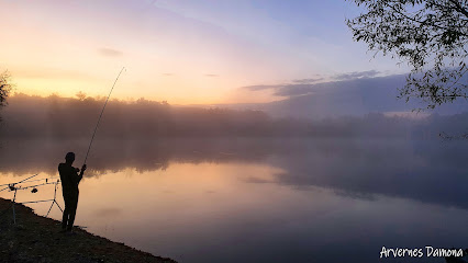 Arvernes Damona Etang Des Vaures, Site De Pêche à Ris