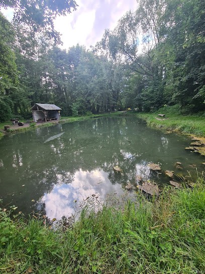 Etangs De Sommery, Site de Pêche à Sommery