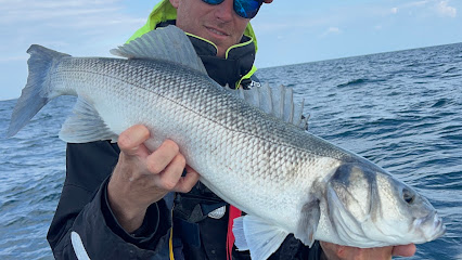 Vendeepechemer, Julien Dénèkre, Guide De Pêche En Vendée Site De Pêche à Soullans