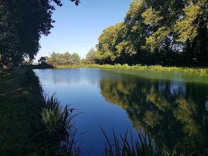 Lac de la Métairie du Bois, Site de Pêche à La Redorte