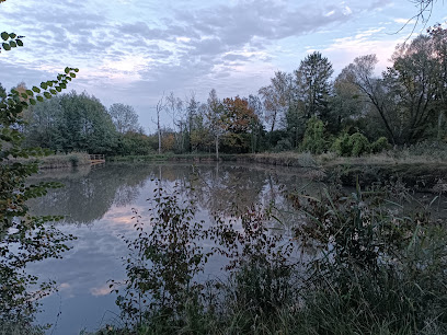 Carpodrome Domaine De La Solitude, Site De Pêche à Laon