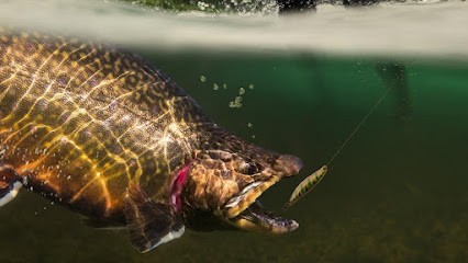 The pond Steph, Site de Pêche à Saint-Maime