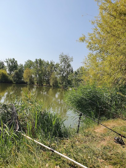 Les 4 étangs de Robinson, Site de Pêche à Argelès-sur-Mer