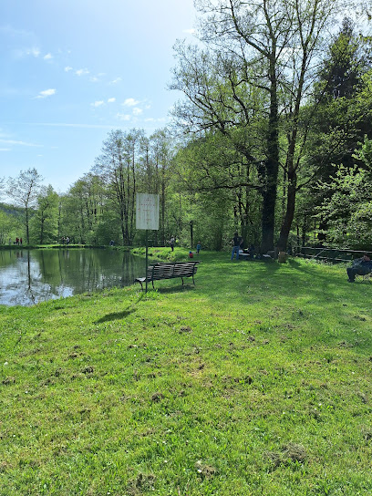 Étang De Pêche Willer Sur Thur, Site De Pêche à Willer-sur-Thur