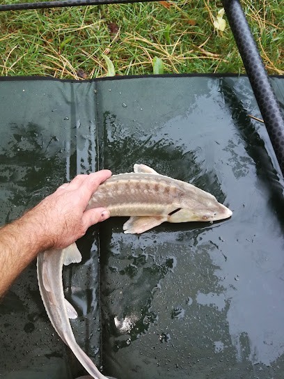 Étangs des Claires Fontaines, Site de Pêche à Hersin-Coupigny