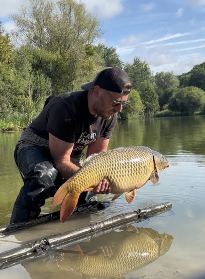 Carp Somnium Site De Pêche à Senarpont
