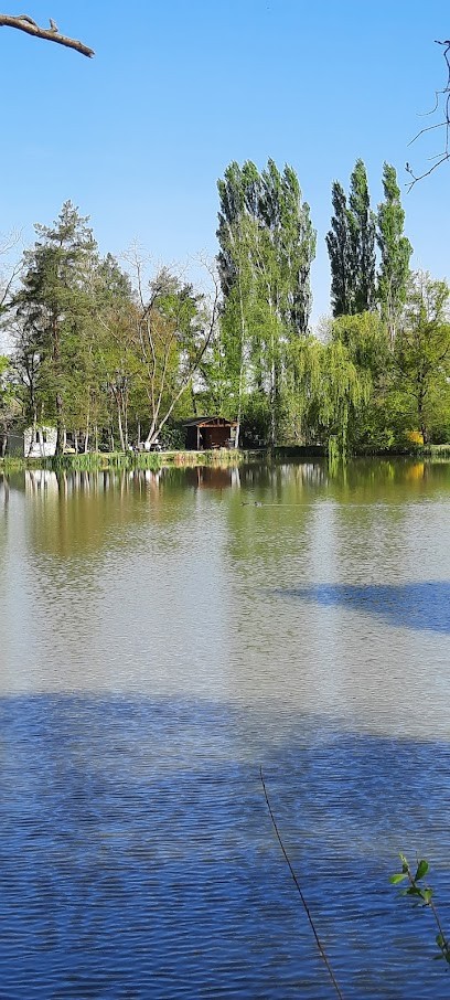 Étang des Fontenils, Site de Pêche à Villeherviers