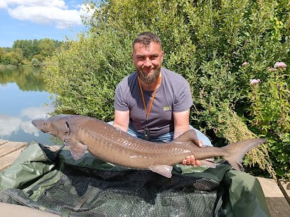 La Vieille Balastière, Site de Pêche à Recques-sur-Course