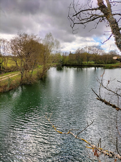 Étang Du Petit Bois, Site De Pêche à Savonnières