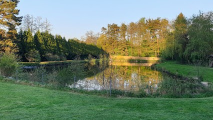 Étang du moulin lieux dit seemeltz, Site de Pêche à Uhlwiller