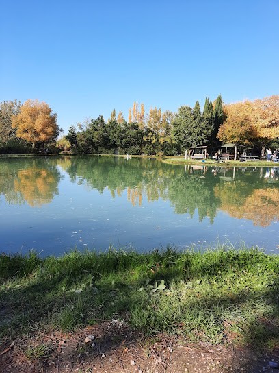 Etang De Peche Mallemort, Site de Pêche à Mallemort